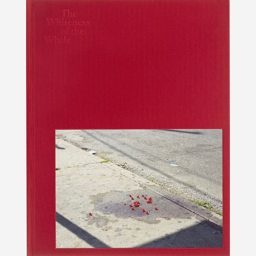 Paul Graham - The Whiteness of the Whale