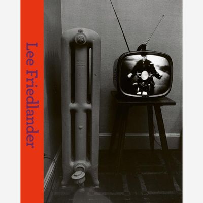 Lee Friedlander Lee Friedlander