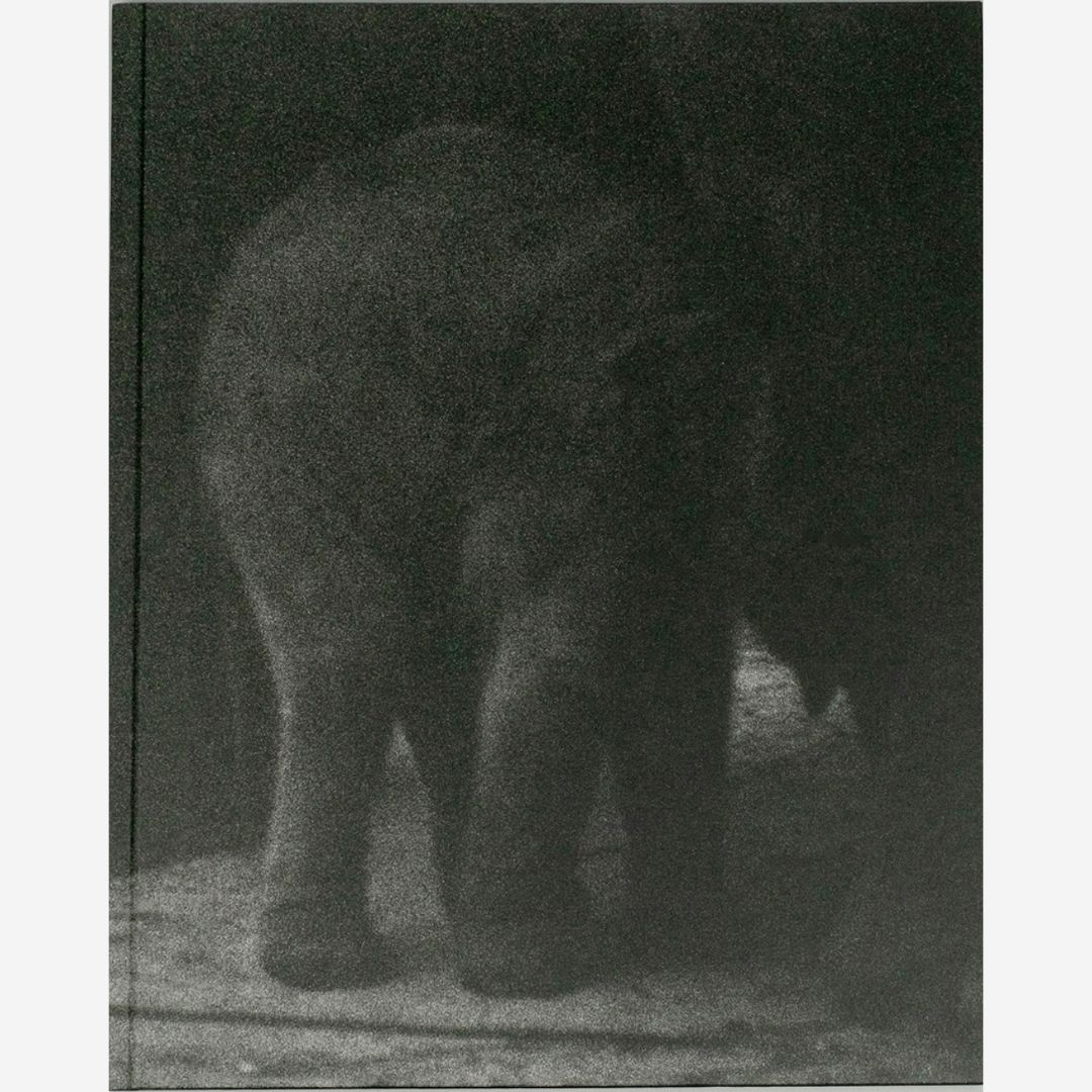 Charlotte Dumas - Entendue