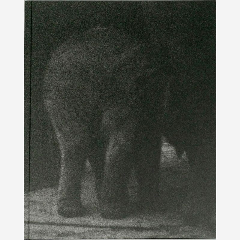 Charlotte Dumas - Entendue