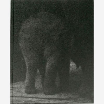 Charlotte Dumas - Entendue