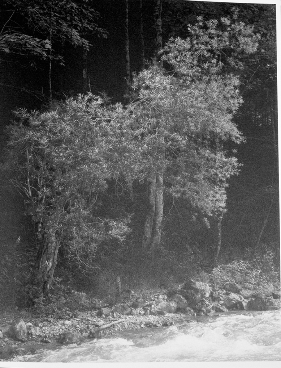 Rick van der Klooster - Between the Mountain and the River