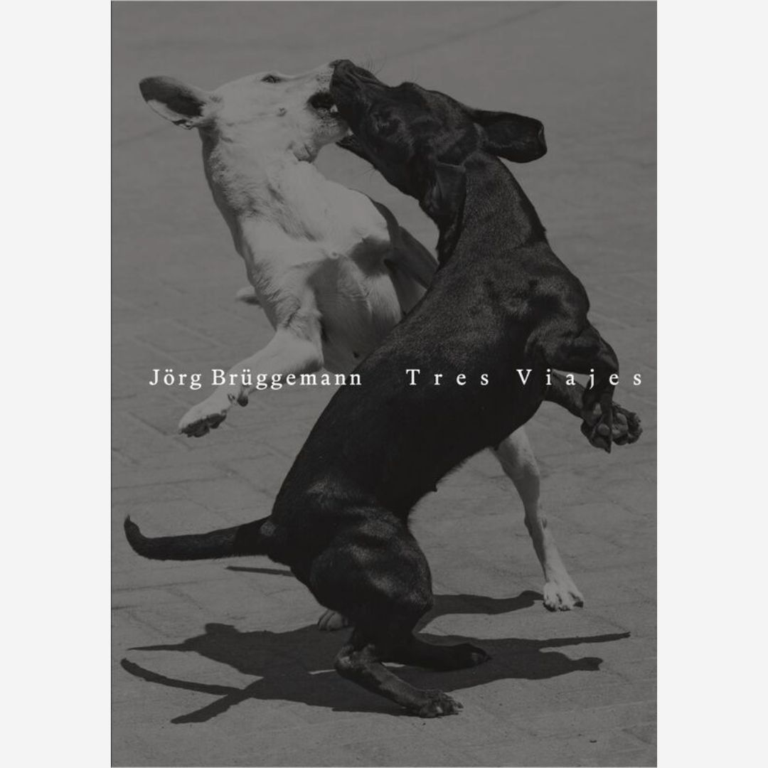 Jörg Brüggemann - Tres Viajes