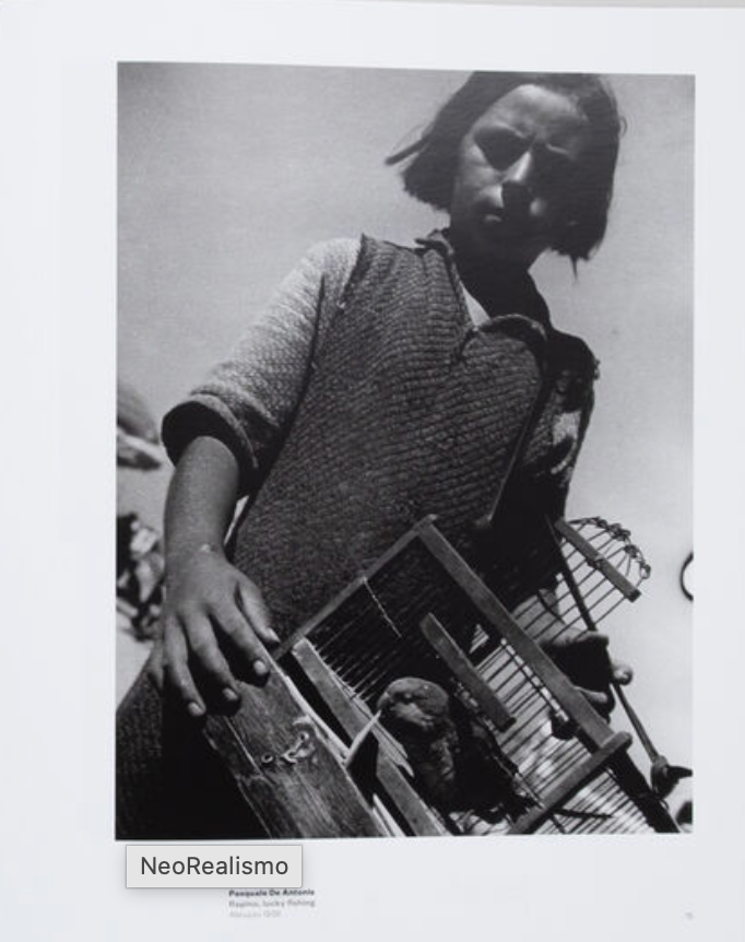 NeoRealismo - The New Image in Italy (1932-1960)