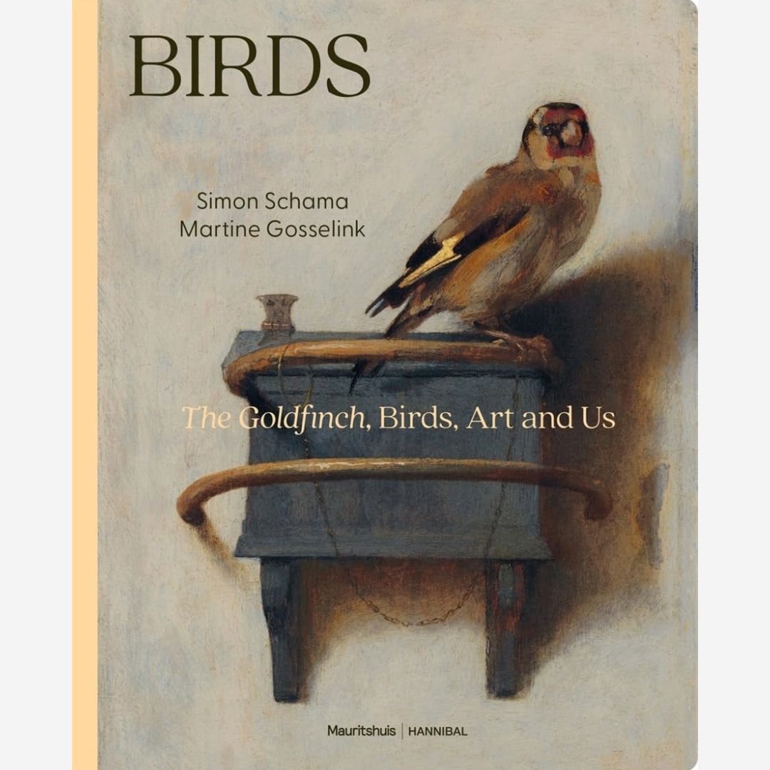 BIRDS: The Goldfinch, Birds, Art and Us