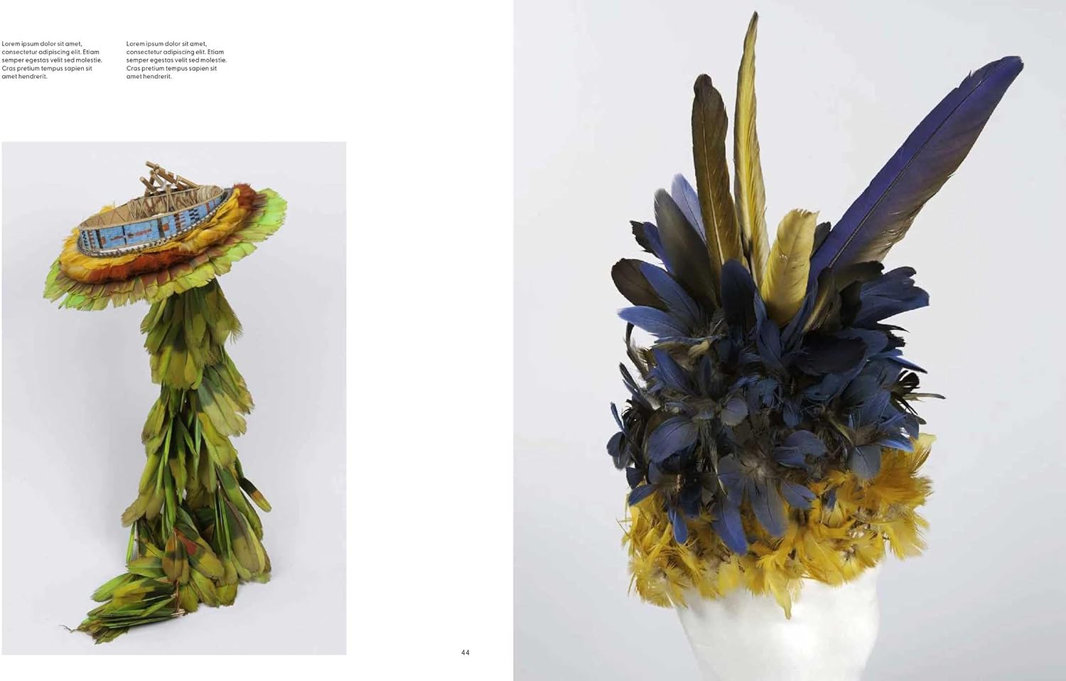 BIRDS: The Goldfinch, Birds, Art and Us