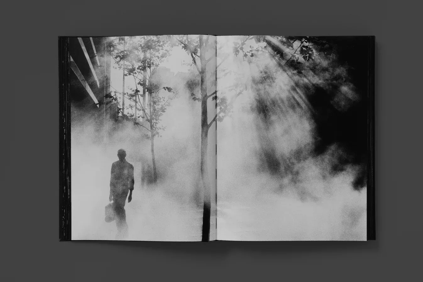 Trent Parke - Monument (third edition)