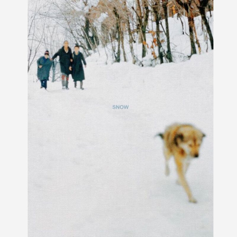 Sohrab Hura - Snow