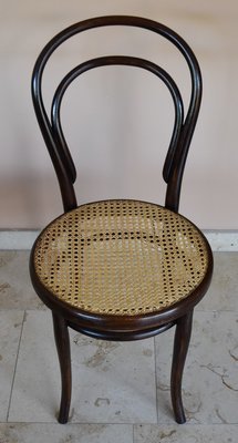 CHAISE THONET N° 14
