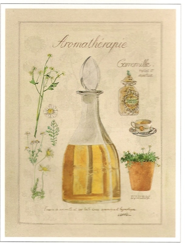 QUADRO di Laurence David: &quot;Aromathérapie&quot; - SC. 20%