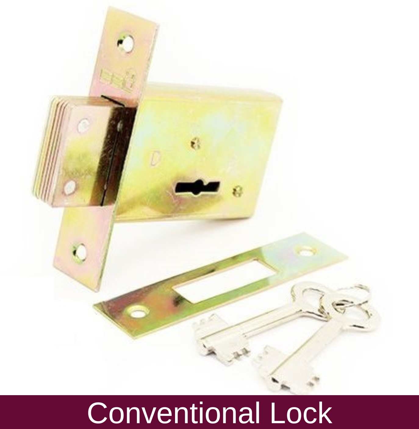 Swing Gate DIY (Standard Size Gate) B5 design