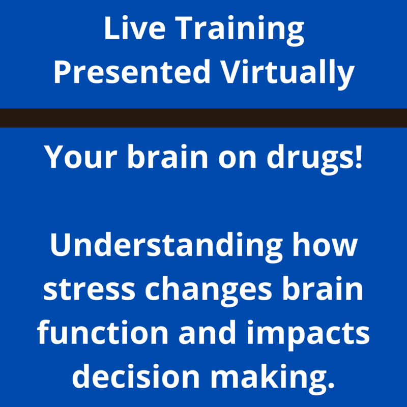 Your Brain on Drugs: Understanding how stress impacts high-risk decision making