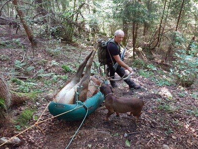 Wildbergung