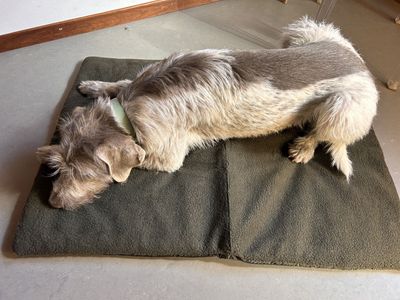 Deerhunter -  Hundekissen, 70x100, adventuregreen
