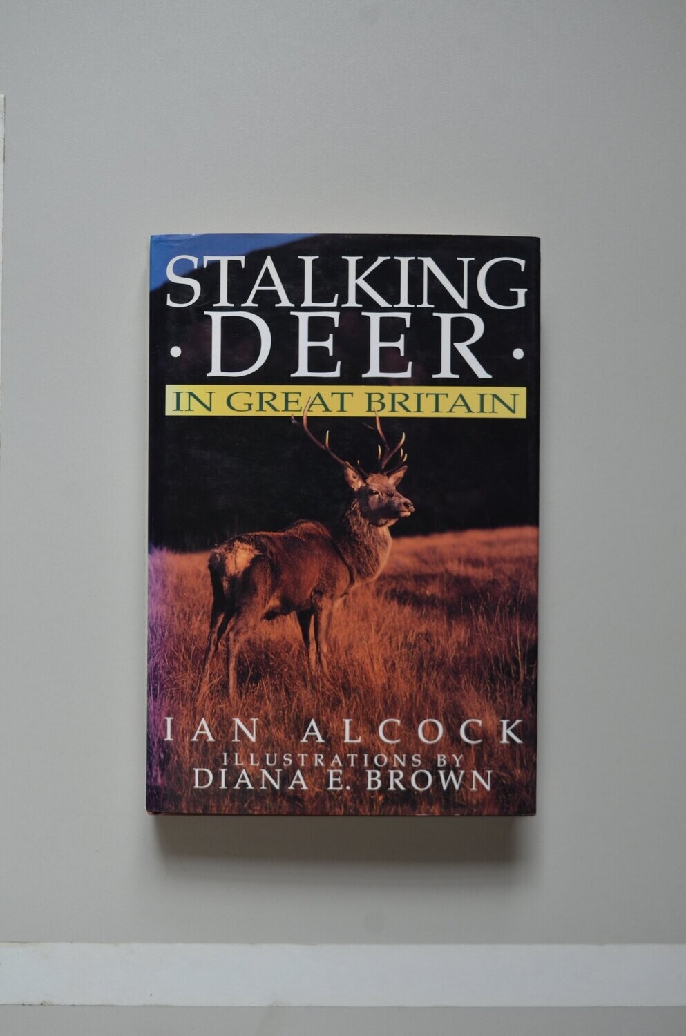 Stalking Deer In Great Britain	Ian Alcock