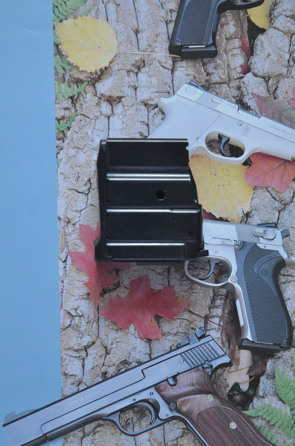 Ruger	Magazines