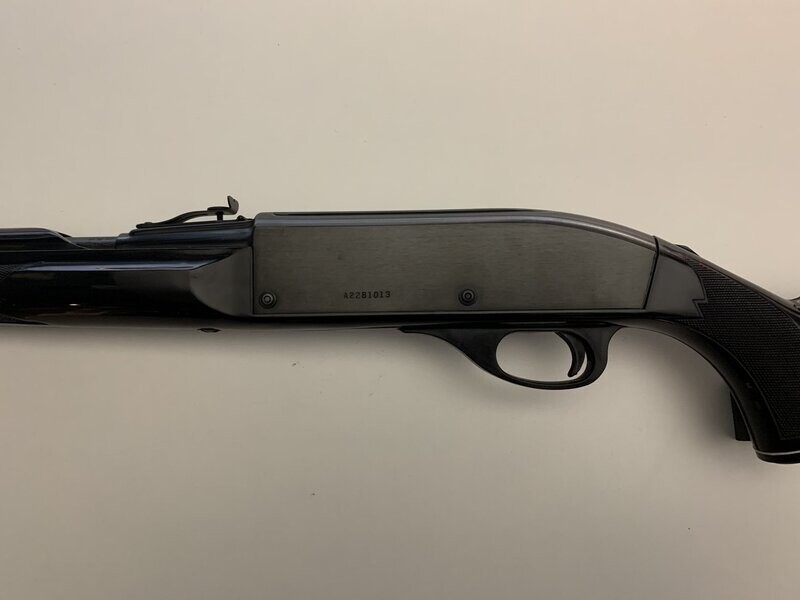 REMINGTON 	NYLON 66	22 LR