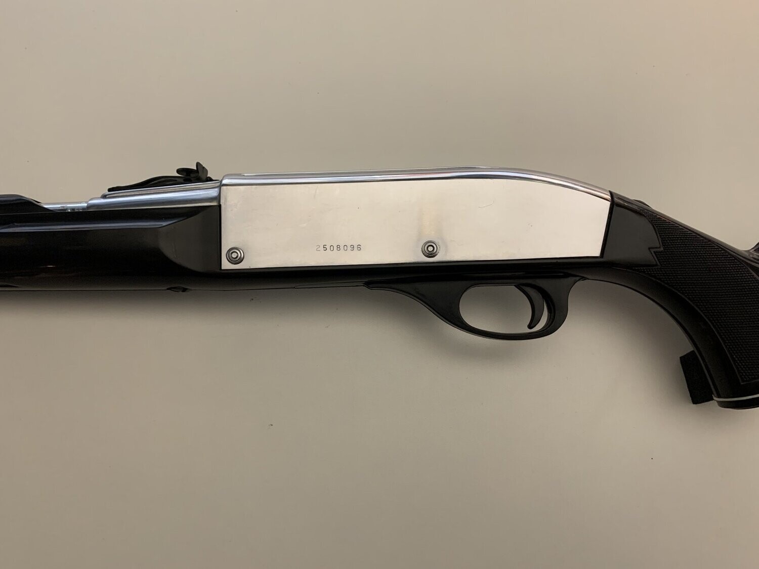 REMINGTON 	NYLON 66	22 LR
