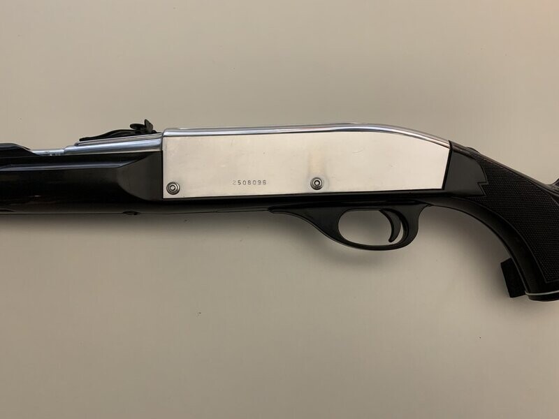 REMINGTON 	NYLON 66	22 LR