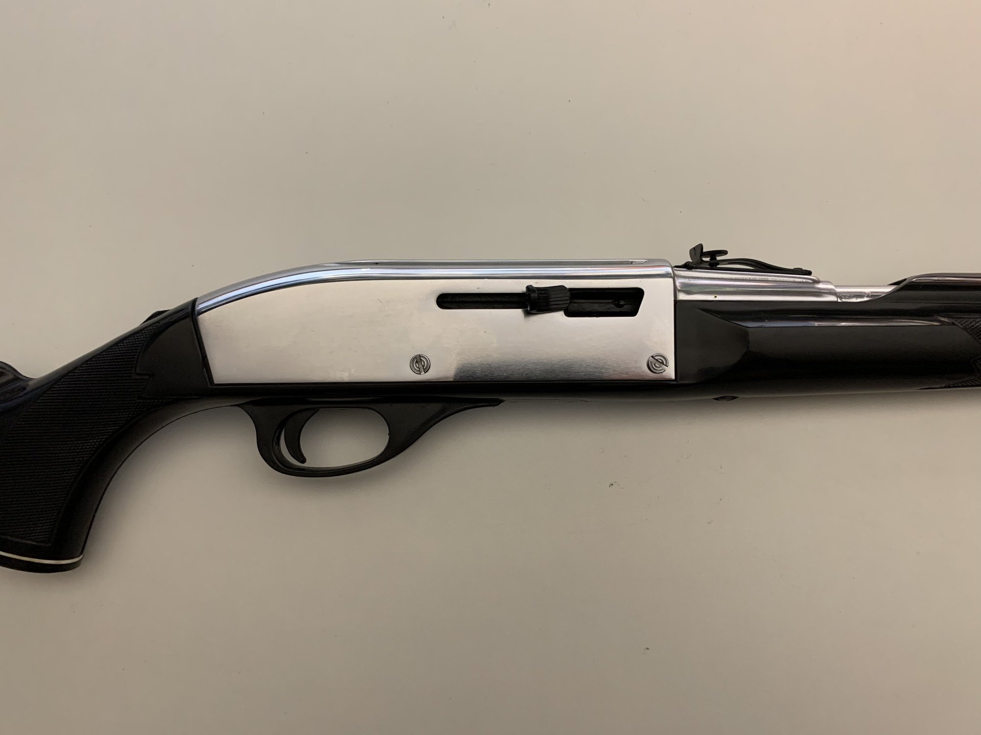 REMINGTON 	NYLON 66	22 LR