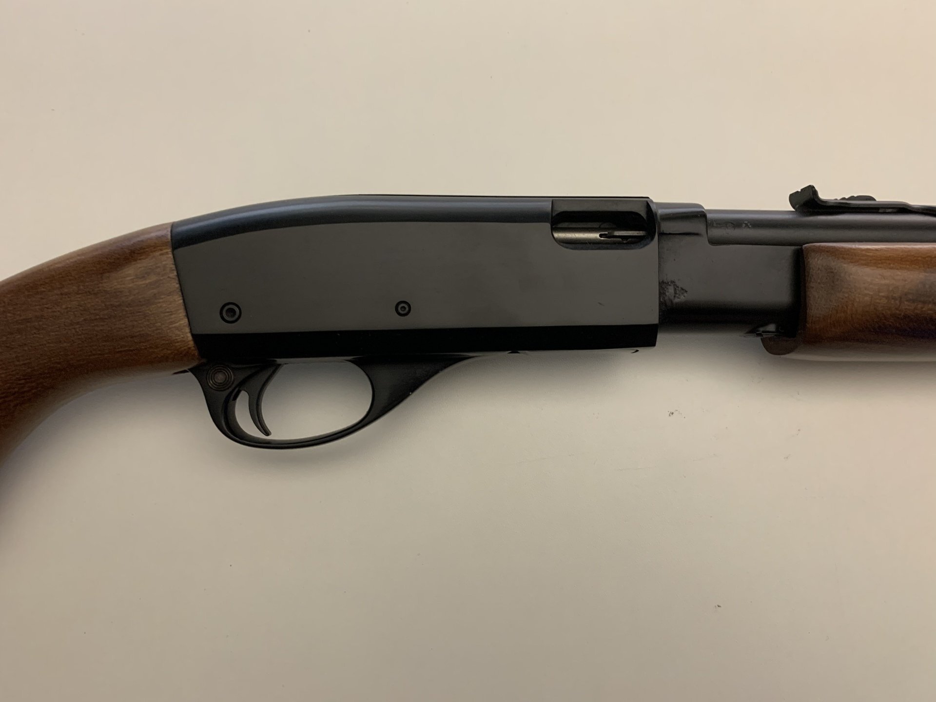 REMINGTON 	MODEL 572	22 LR