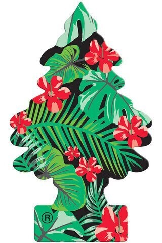 Jungle Fever