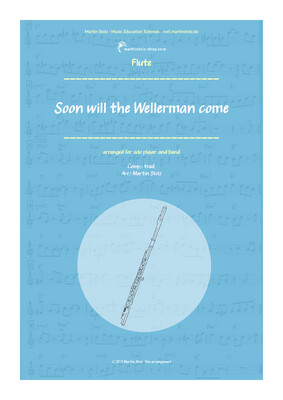 &quot;The Wellerman Song&quot; - Flute