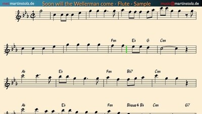 &quot;The Wellerman Song&quot; - Flute