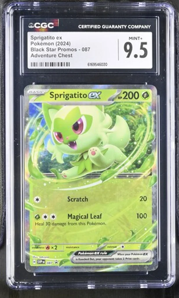 Sprigatito ex (087) – Pokémon Black Star Promo (2024) – CGC 9.5 Mint+