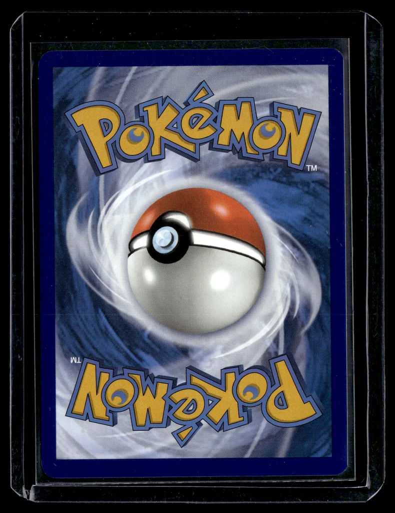 Squirtle #148/142 - Stellar Crown - Illustration rare - Pokémon Trading Card - TCG Single - Near Mint 2