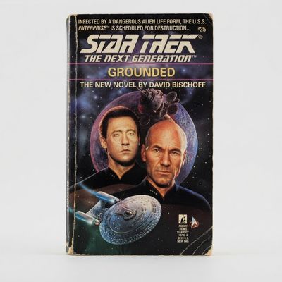 Front cover of the vintage Star Trek: The Next Generation #25 "Grounded" paperback featuring character art and wear