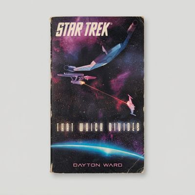 Front cover of the Star Trek: The Original Series "That Which Divides" vintage paperback with wear on the edges