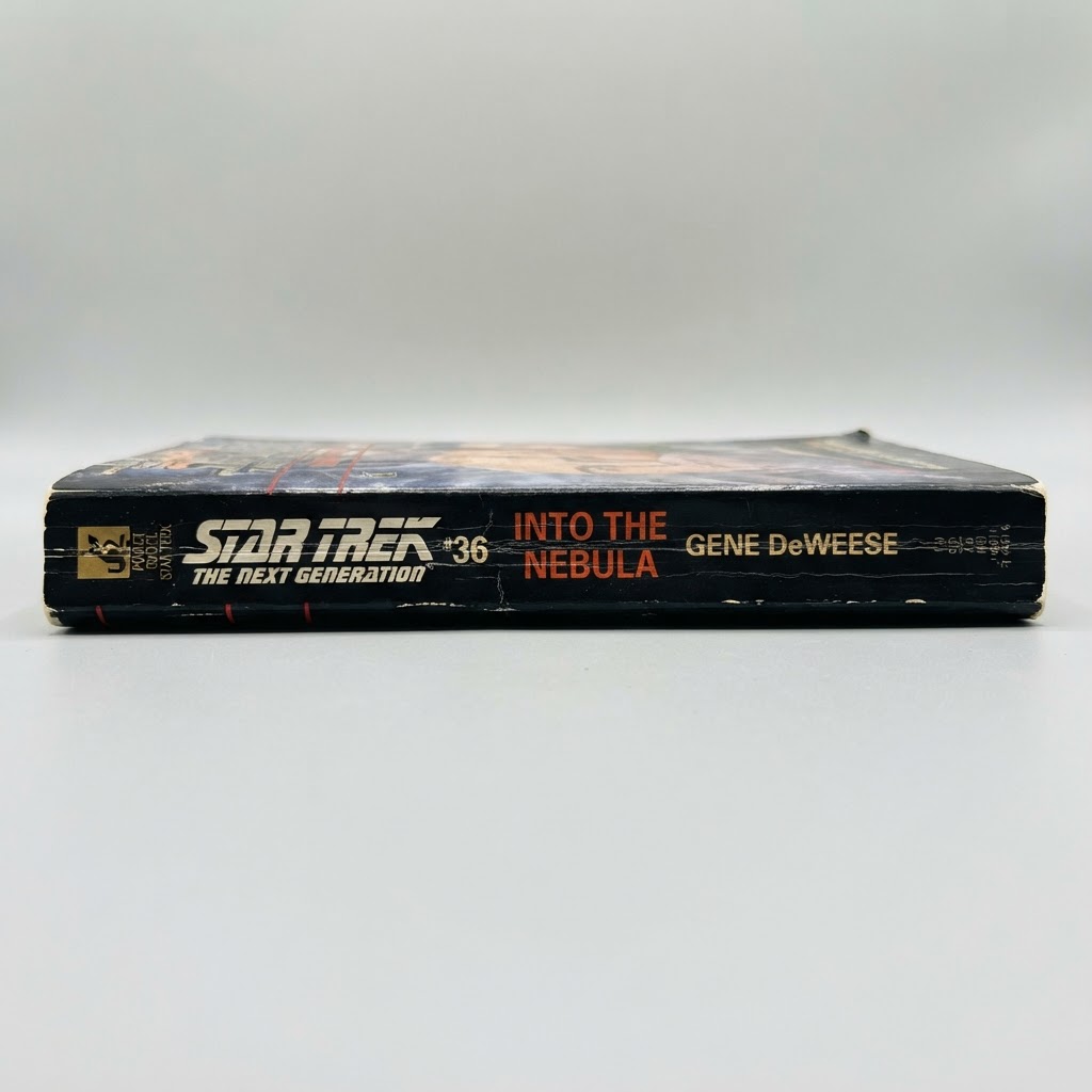 Black spine of the Star Trek: TNG Into the Nebula vintage paperback with gold and red text showing light edge wear
