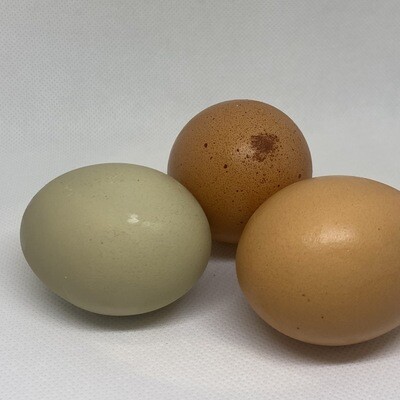 Eggs (1 dz.)