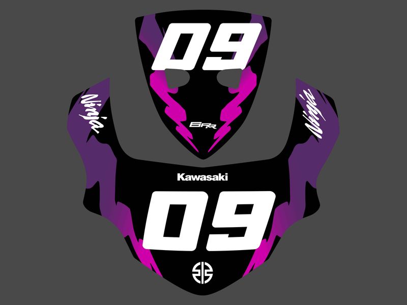 Kawasaki 2016 ZX636 Number Plates