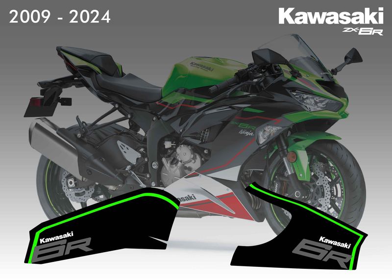 2009 - 2024 Kawasaki ZX6R Swingarm Decals
