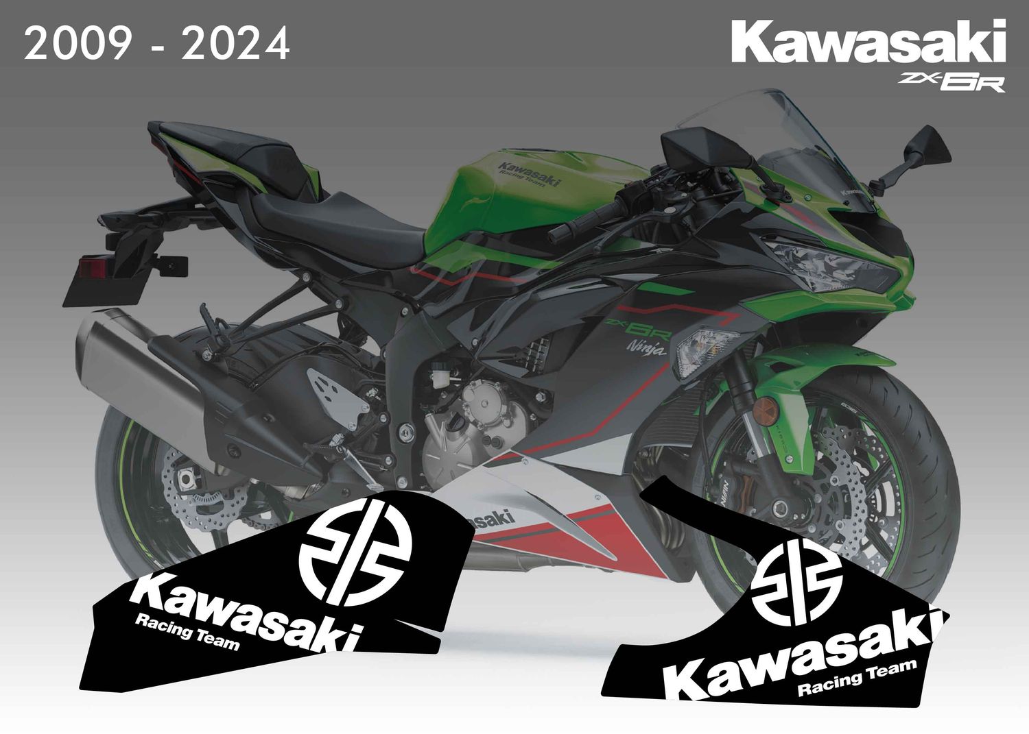 2009 - 2024 Kawasaki ZX6R Swingarm Decals