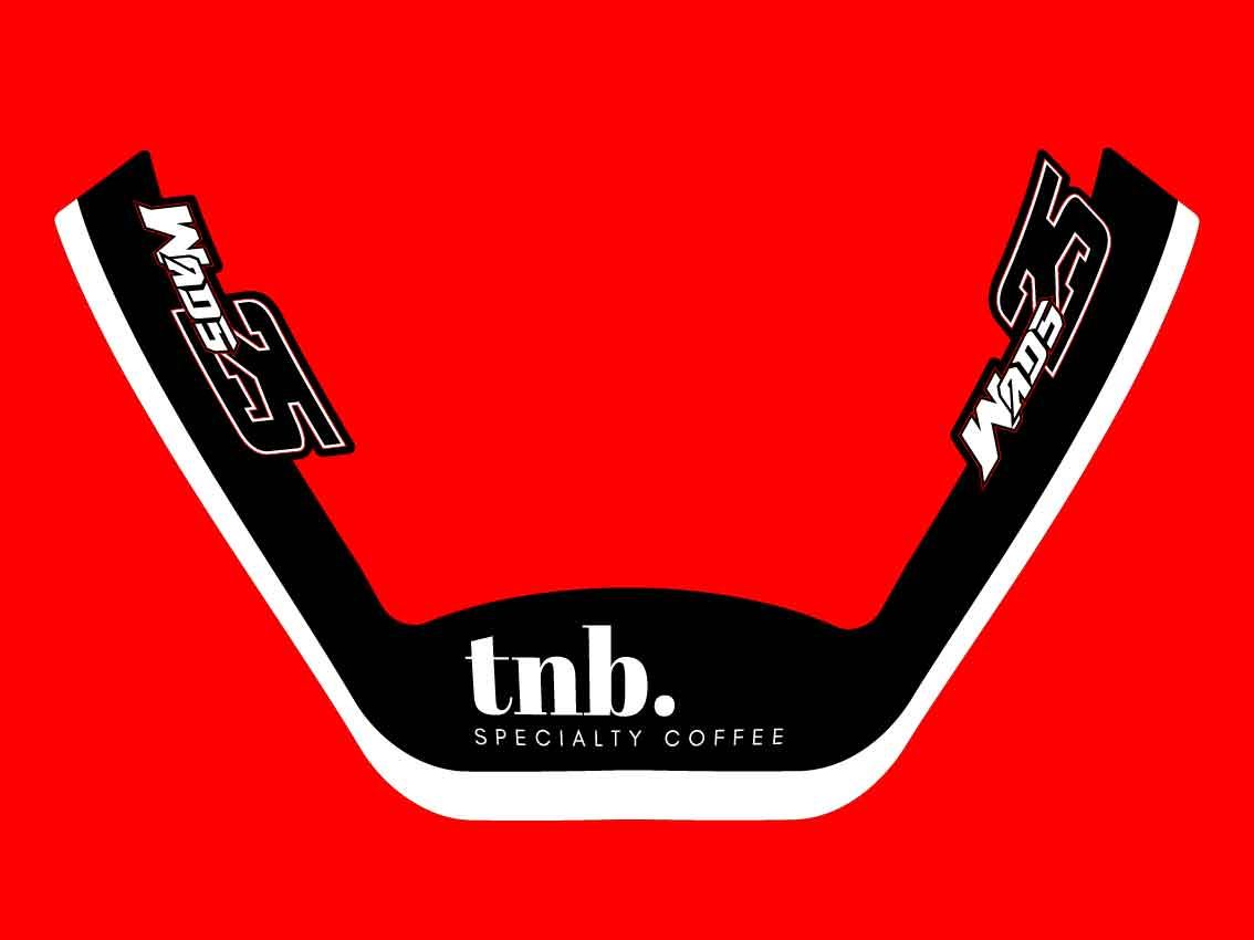 NRST Ducati V4R Screen decal