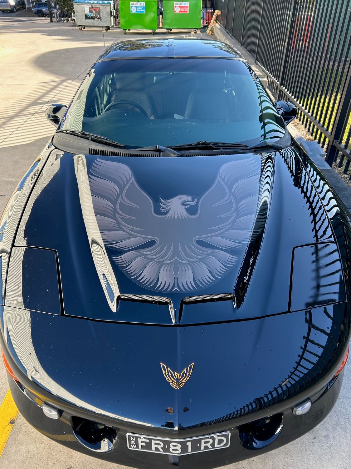 Pontiac Firebird Decal