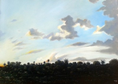Ricardo Sánchez Beitía - Sunset