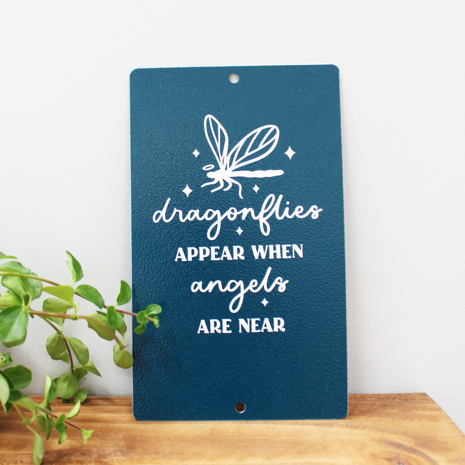Dragonflies appear when Angels are near