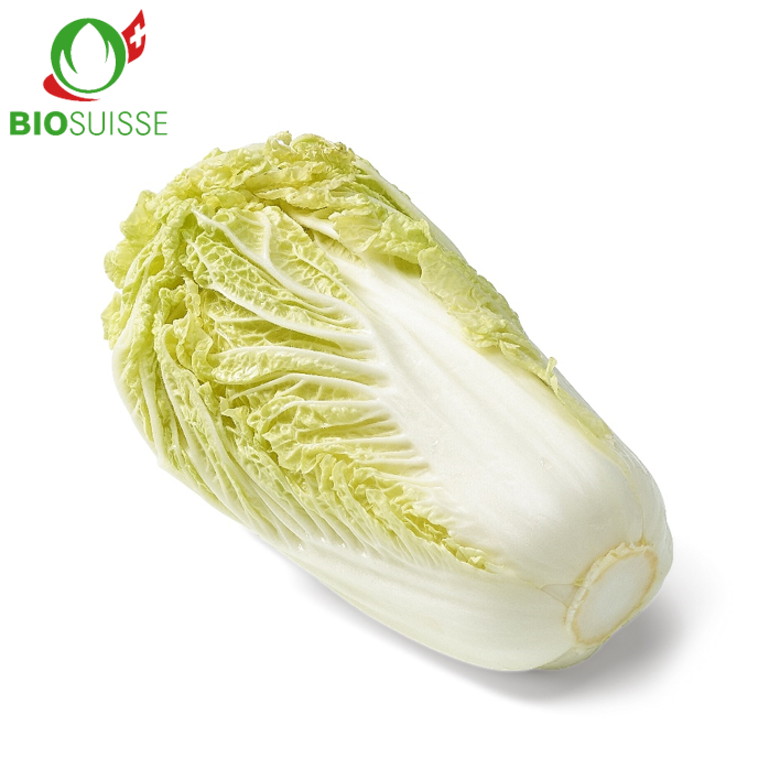 Chinakohl Bio