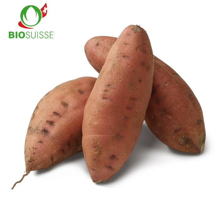 Süsskartoffeln gew. Bio M - Medium