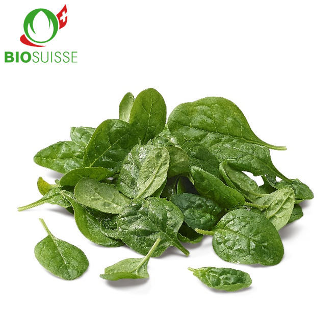 Spinat Bio