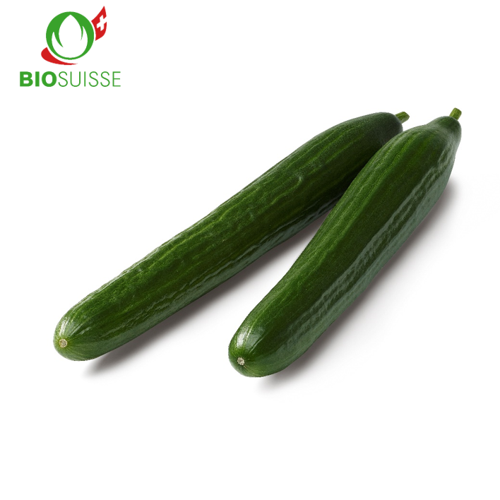 Gurken Bio