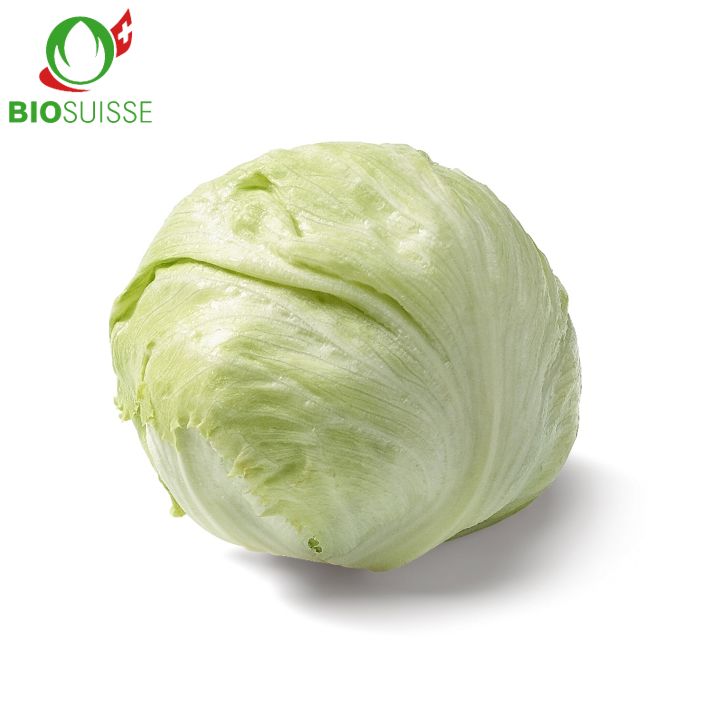 Eisberg Bio