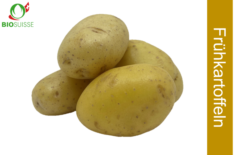 Frühkartoffeln gew. Bio