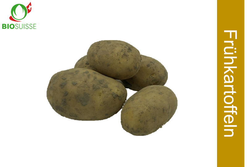 Frühkartoffeln ungew. Bio