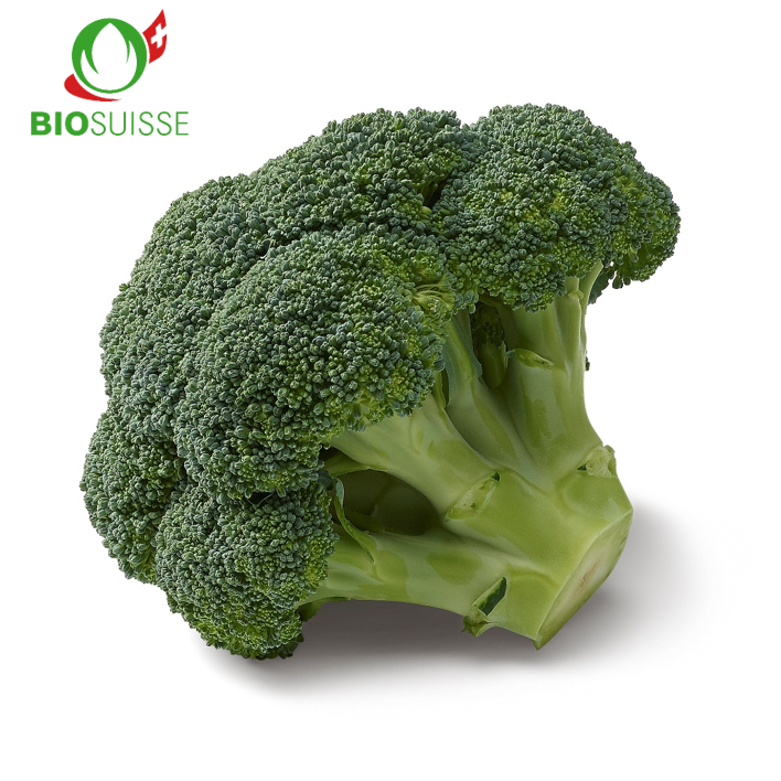 Broccoli Bio