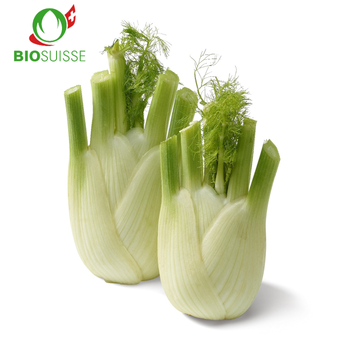 Fenchel Bio